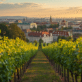 Enoturismo en Viena: viñedos, Heuriger y vinos con historia