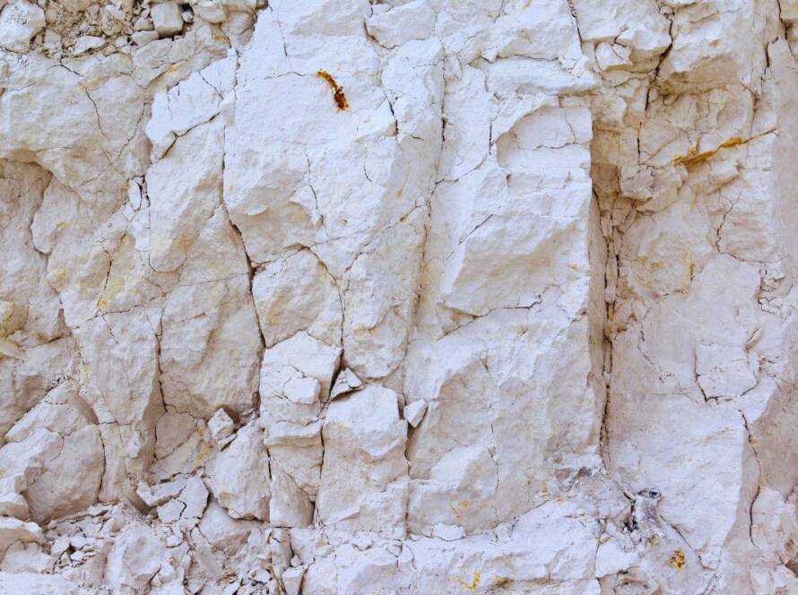 Piedra caliza