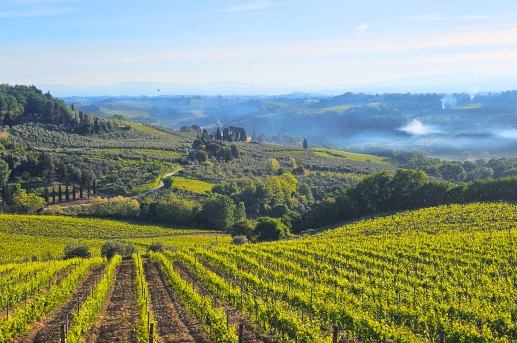 Viñas productoras de vino chianti en Montespertoli, Toscana.