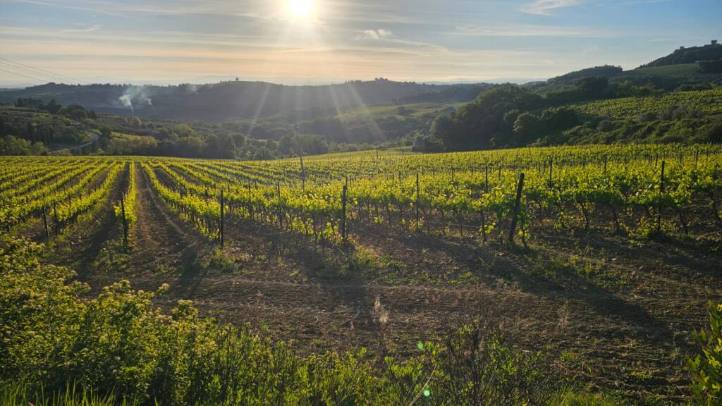 Vino Chianti: 7 claves para disfrutarlo en la Toscana